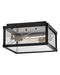 Hinkley Canada - LED Flush Mount - Monte - Black- Union Lighting Luminaires Decor