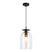 Alora Canada - One Light Pendant - Sylvia - Matte Black/Clear Glass- Union Lighting Luminaires Decor