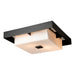 Hubbardton Forge - Two Light Outdoor Flush Mount - Shadow Box - Coastal Black- Union Lighting Luminaires Decor
