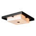 Hubbardton Forge - Four Light Outdoor Flush Mount - Shadow Box - Coastal Black- Union Lighting Luminaires Decor