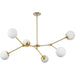 Progress Canada - Six Light Chandelier - Haas - Brushed Bronze- Union Lighting Luminaires Decor
