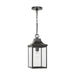 Generation Lighting Canada - One Light Pendant - Say brook - Antique Bronze- Union Lighting Luminaires Decor
