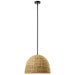 Kichler Canada - One Light Mini Pendant - Raffiana - Black- Union Lighting Luminaires Decor