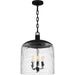 Quoizel - Three Light Pendant - Quoizel Pendant - Matte Black- Union Lighting Luminaires Decor