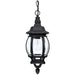 Capital Lighting - One Light Outdoor Hanging Lantern - French Country - Black- Union Lighting Luminaires Decor