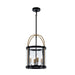 Artcraft Canada - Four Light Pendant - Bonita - Black and Brushed Brass- Union Lighting Luminaires Decor
