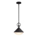 Artcraft Canada - One Light Pendant - Abruzzo - Black- Union Lighting Luminaires Decor