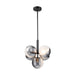 Artcraft Canada - Five Light Pendant - Bolla - Black- Union Lighting Luminaires Decor