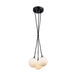 Artcraft Canada - LED Pendant - Camila - Black- Union Lighting Luminaires Decor