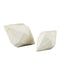 Currey and Company - Pavi Bone Prism Set of 2 - Pavi Bone Prism Set of 2 - Natural- Union Lighting Luminaires Decor