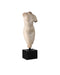 Currey and Company - Goddess Venus - Goddess Venus - Aged Beige/Black- Union Lighting Luminaires Decor