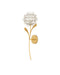 Currey and Company - One Light Wall Sconce - Dandelion - Contemporary Silver Leaf/Silver/Contemporary Gold Leaf- Union Lighting Luminaires Decor