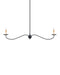Currey and Company - Two Light Chandelier - Saxon - Zanzibar Black- Union Lighting Luminaires Decor