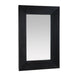 Arteriors - Mirror - Coulter - Ebony/Plain- Union Lighting Luminaires Decor