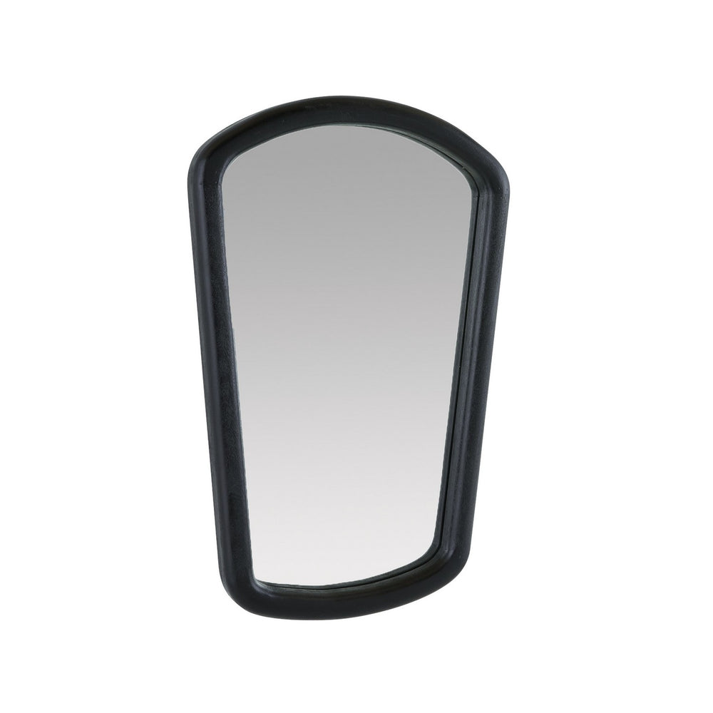 Arteriors - Mirror - Dyer - Ebony/Plain- Union Lighting Luminaires Decor