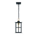 Eurofase Canada - GREYSON-OD-16IN-BRBM-CL - GREYSON - Brass-Black- Union Lighting Luminaires Decor