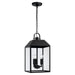 Capital Lighting - Three Light Outdoor Hanging Lantern - Nelson - Black- Union Lighting Luminaires Decor