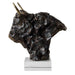 Uttermost - Sculpture - Bison - Tarnished Bronze- Union Lighting Luminaires Decor