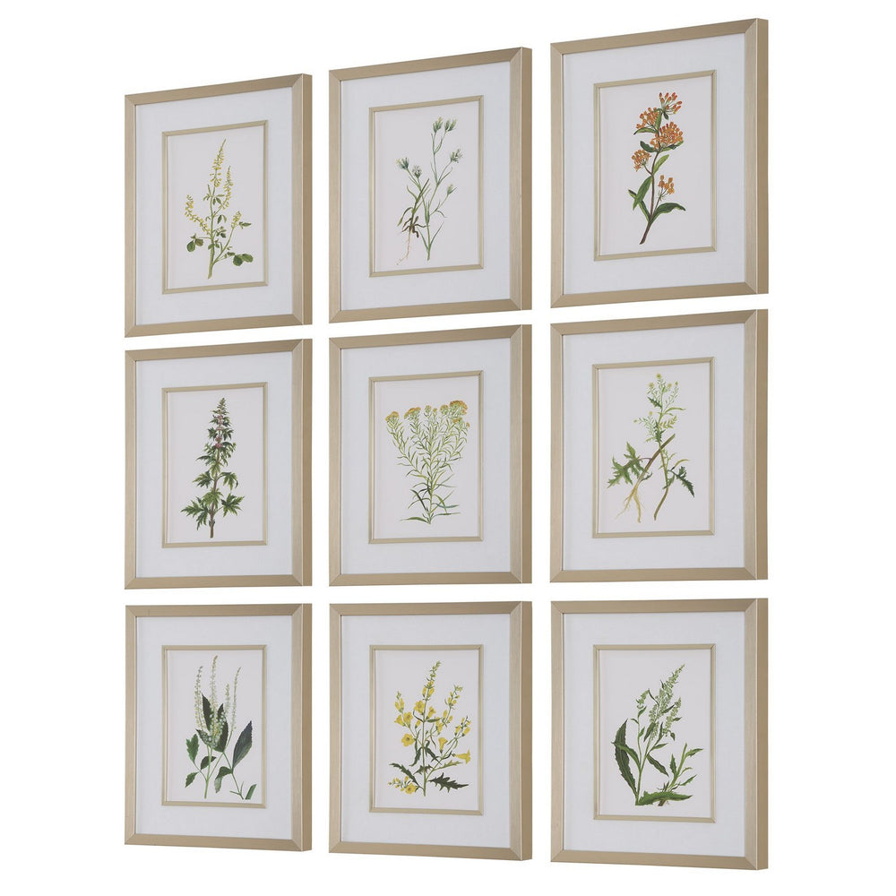 Uttermost - Framed Prints, S/9 - Botanical Flowers - Champagne Gold- Union Lighting Luminaires Decor