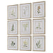 Uttermost - Framed Prints, S/9 - Botanical Flowers - Champagne Gold- Union Lighting Luminaires Decor