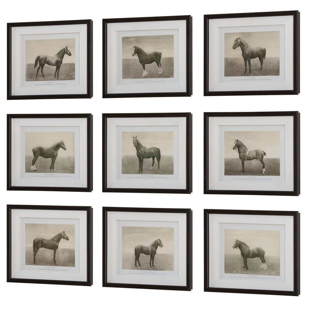 Uttermost - Framed Prints, S/9 - Equine Dynasty - Dark Walnut- Union Lighting Luminaires Decor