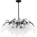 Quoizel - Six Light Chandelier - Maple - Earth Black- Union Lighting Luminaires Decor