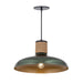 Maxim - One Light Pendant - Bingham - June Bug- Union Lighting Luminaires Decor