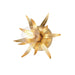 Maxim - One Light Wall Sconce - Paloma - Gold Leaf- Union Lighting Luminaires Decor
