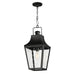 Maxim - One Light Outdoor Pendant - Storybook - Black- Union Lighting Luminaires Decor