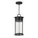 Maxim - One Light Outdoor Pendant - Windsor - Black Patina- Union Lighting Luminaires Decor