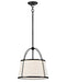 Hinkley Canada - LED Pendant - Clarke - Black- Union Lighting Luminaires Decor
