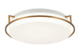 Matteo Canada - LED Wall Sconce - Brammerton - Aged Gold Brass- Union Lighting Luminaires Decor
