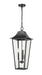 Z-Lite Canada - Three Light Outdoor Chain Mount Ceiling Fixture - Gannon - Black- Union Lighting Luminaires Decor