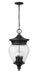 Z-Lite Canada - Four Light Outdoor Chain Mount Ceiling Fixture - Davina - Black- Union Lighting Luminaires Decor