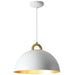 Artcraft Canada - One Light Pendant - Pantheon - Gold, White- Union Lighting Luminaires Decor