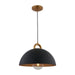 Artcraft Canada - One Light Pendant - Pantheon - Black, Rust Brass- Union Lighting Luminaires Decor