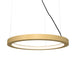 Accord Lighting - LED Pendant - Frame - Organic Gold- Union Lighting Luminaires Decor