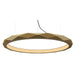 Accord Lighting - LED Pendant - Facet - Organic Gold- Union Lighting Luminaires Decor