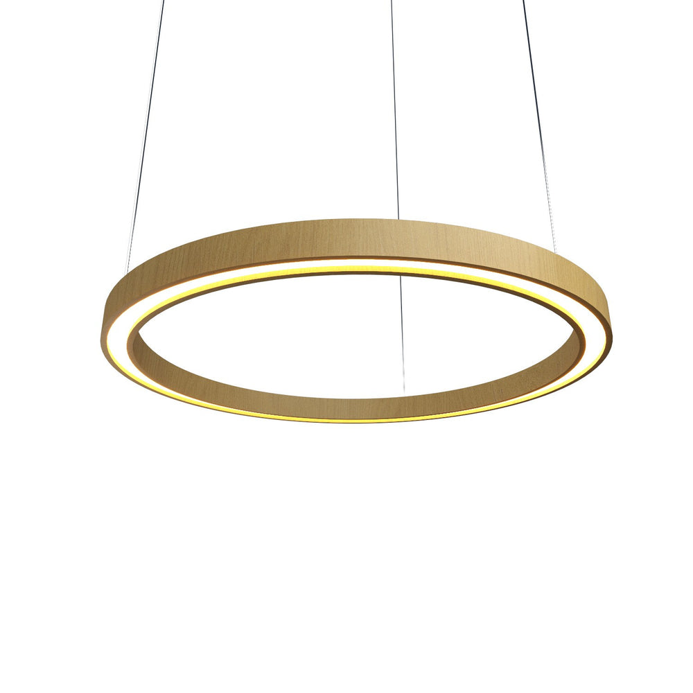 Accord Lighting - LED Pendant - Frame - Organic Gold- Union Lighting Luminaires Decor