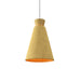 Accord Lighting - One Light Pendant - Conical - Organic Gold- Union Lighting Luminaires Decor
