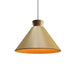 Accord Lighting - One Light Pendant - Conical - Organic Gold- Union Lighting Luminaires Decor