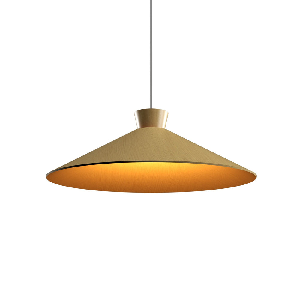 Accord Lighting - One Light Pendant - Conical - Organic Gold- Union Lighting Luminaires Decor