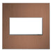 Legrand Canada - Two-Gang Screwless Wall Plate- Union Lighting Luminaires Decor