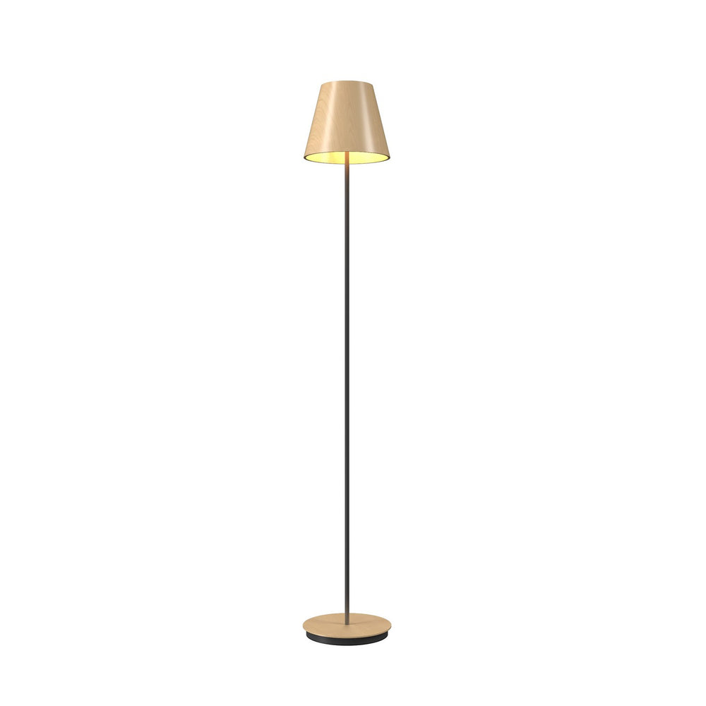 Accord Lighting - One Light Floor Lamp - Conical - Maple- Union Lighting Luminaires Decor