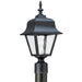 Generation Lighting Canada - One Light Outdoor Post Lantern - Polycarbonate Outdoor - Black- Union Lighting Luminaires Decor