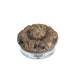 Regina Andrew Canada - Ornament - Evette - Distressed Painted- Union Lighting Luminaires Decor