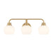Meridian - Three Light Bathroom Vanity - Natural Brass- Union Lighting Luminaires Decor