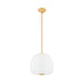 Hudson Valley Canada - LED Pendant - Scranton - Aged Brass- Union Lighting Luminaires Decor