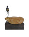 Currey and Company - Man on Rock - Man on Rock - Brown/Bronze/Green- Union Lighting Luminaires Decor