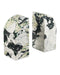 Currey and Company - Object Set of 2 - Fossey - White/Black- Union Lighting Luminaires Decor
